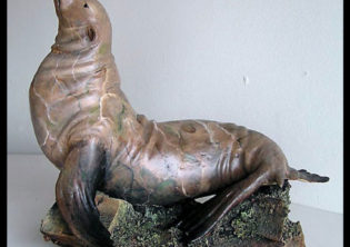 Bronze Sea Lion