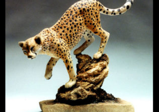 Descending Cheetah
