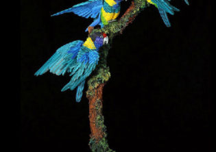 Flurry of Feathers