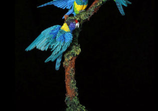 Flurry of Feathers