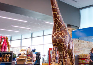 Giraffe Zoo Gift Shop