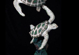 Gliding Turtles