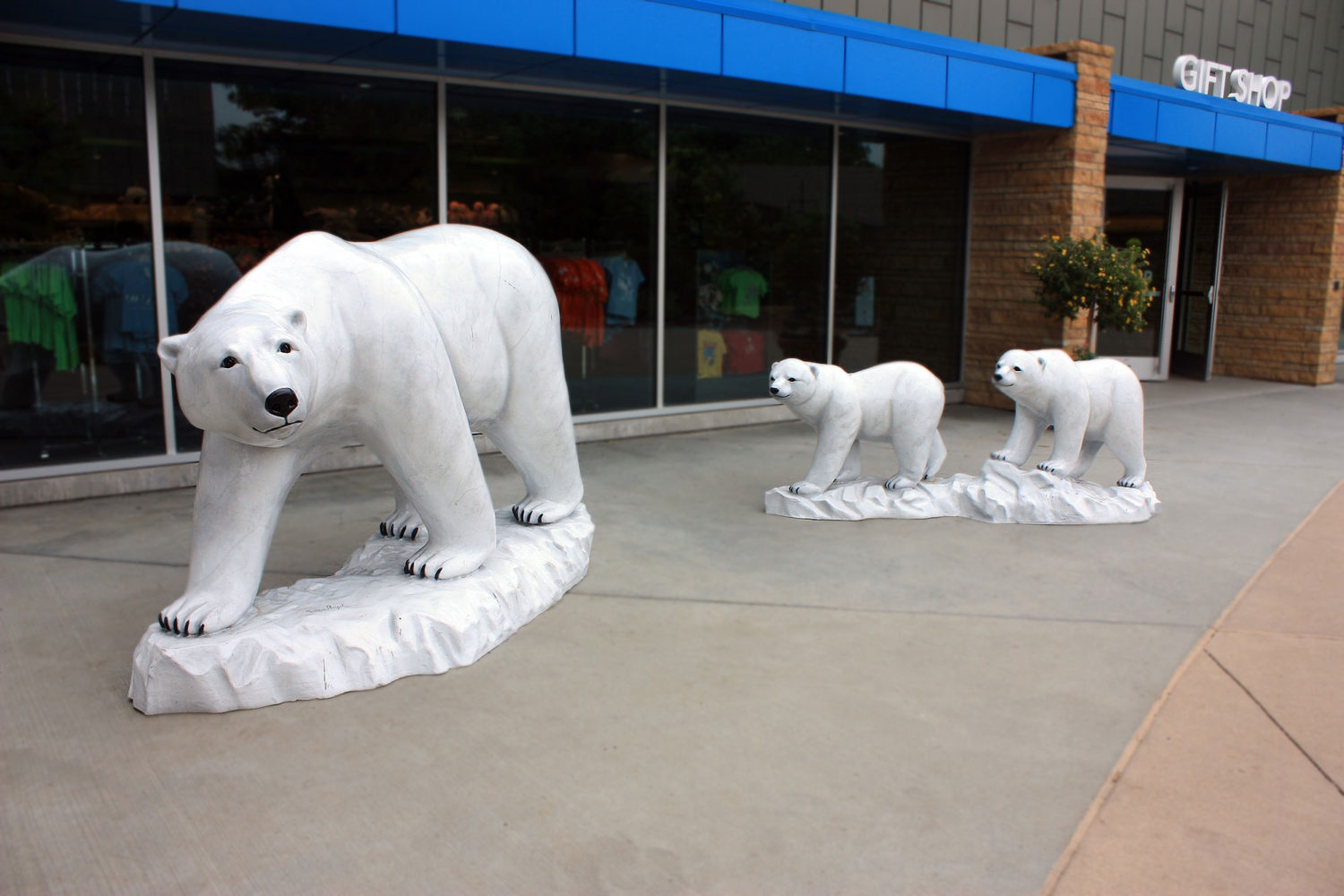 Polar Bears