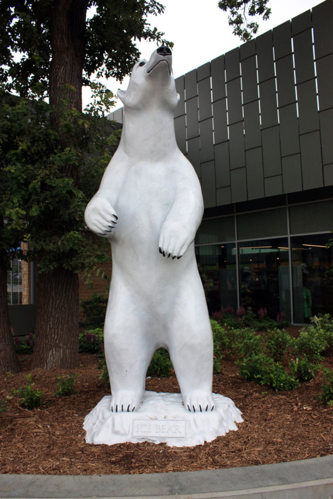 Polar Bears