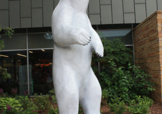 Polar Bears