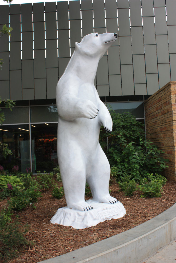 Polar Bears