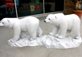 Polar Bears