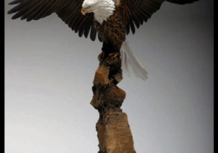Majestic Eagle