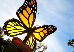 Metamorphosis sculpture