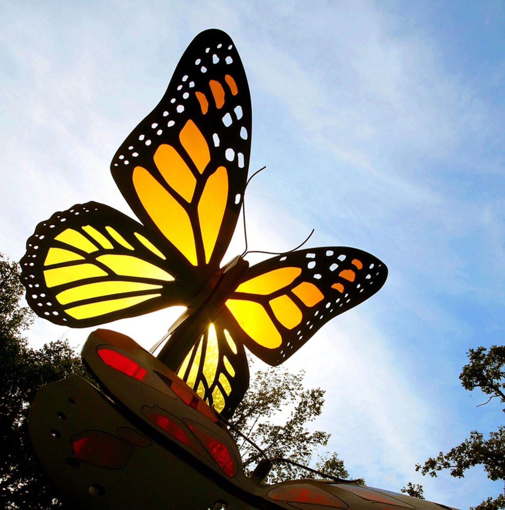 Metamorphosis sculpture