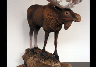 Morning Moose