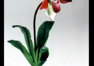 Romanza