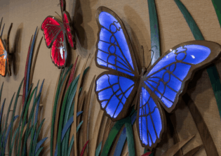 Colors of the Prairie