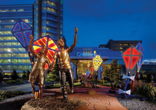 Sprit Children's Hospital Lighted Kites Sculpture