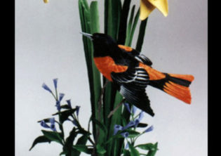 Spring Color Oriole