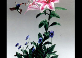 Stargazer Hummingbirds
