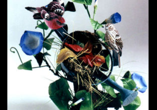 Watering Can Romance