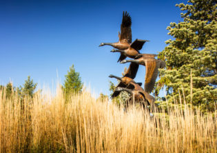 Bronze geese statue
