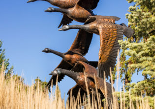 Tranquil arrival bronze geese sculpture