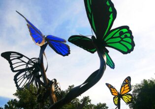 Metamorphosis Acrylic Butterflies