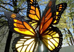 Acrylic Monarch Butterflies in the light