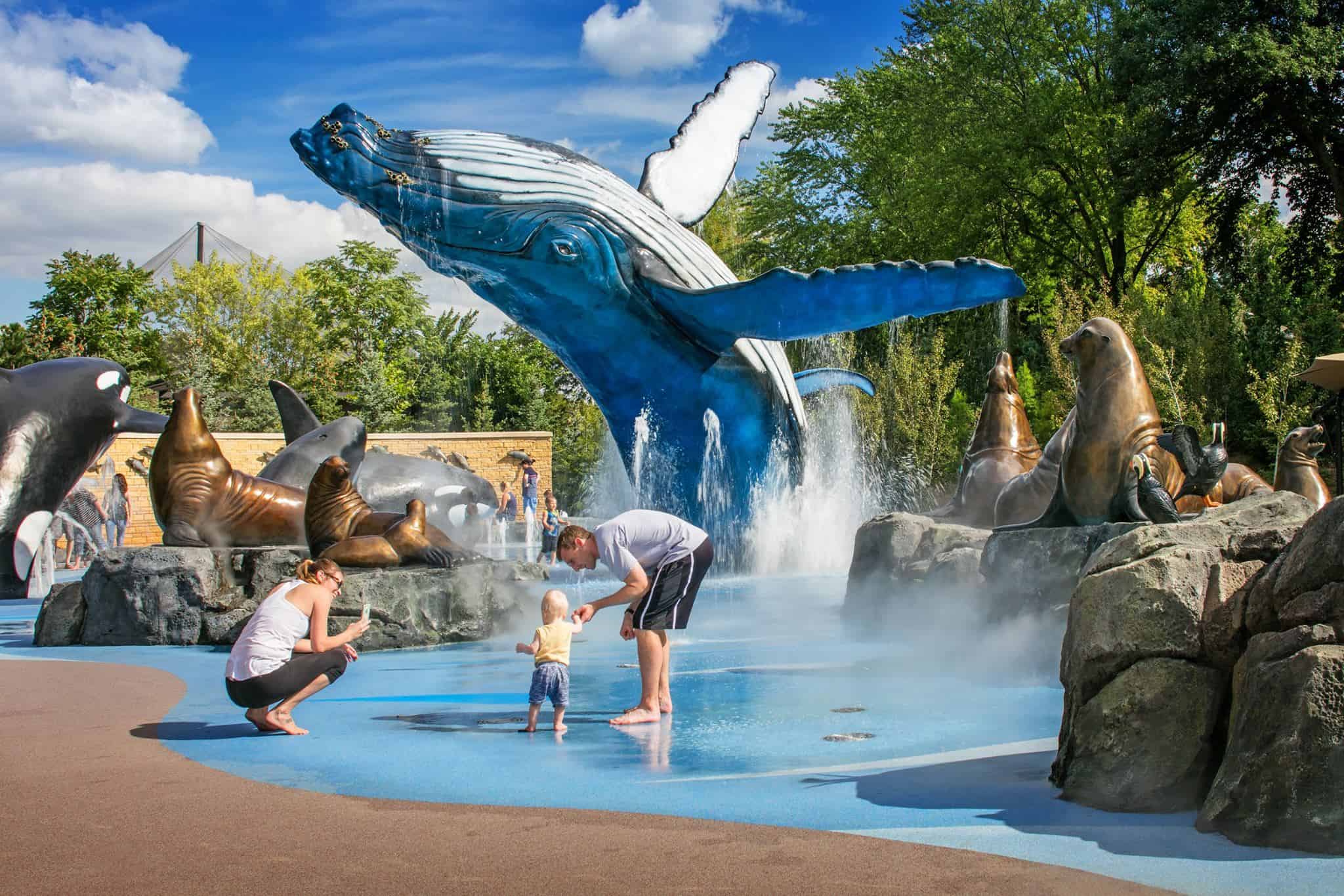 Alaskan Adventure Splash park