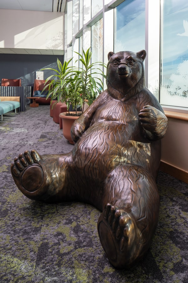 Grandpa bear sitting with reading glasses Bronze sculpture in Children's Hospital and Medical Center in Omaha, Nebraska.