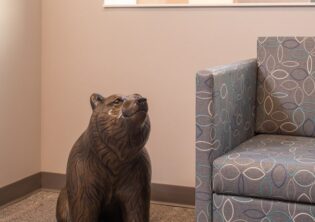 Sitting bear in waiting room, looking towards the tv. Bronze sculpture in Children's Hospital and Medical Center in Omaha, Nebraska.